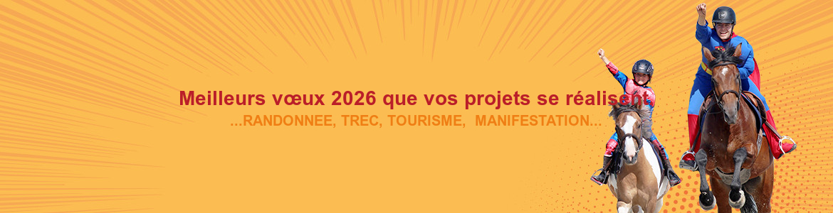 Meilleurs vœux 2026 que vos projets se réalisent.
